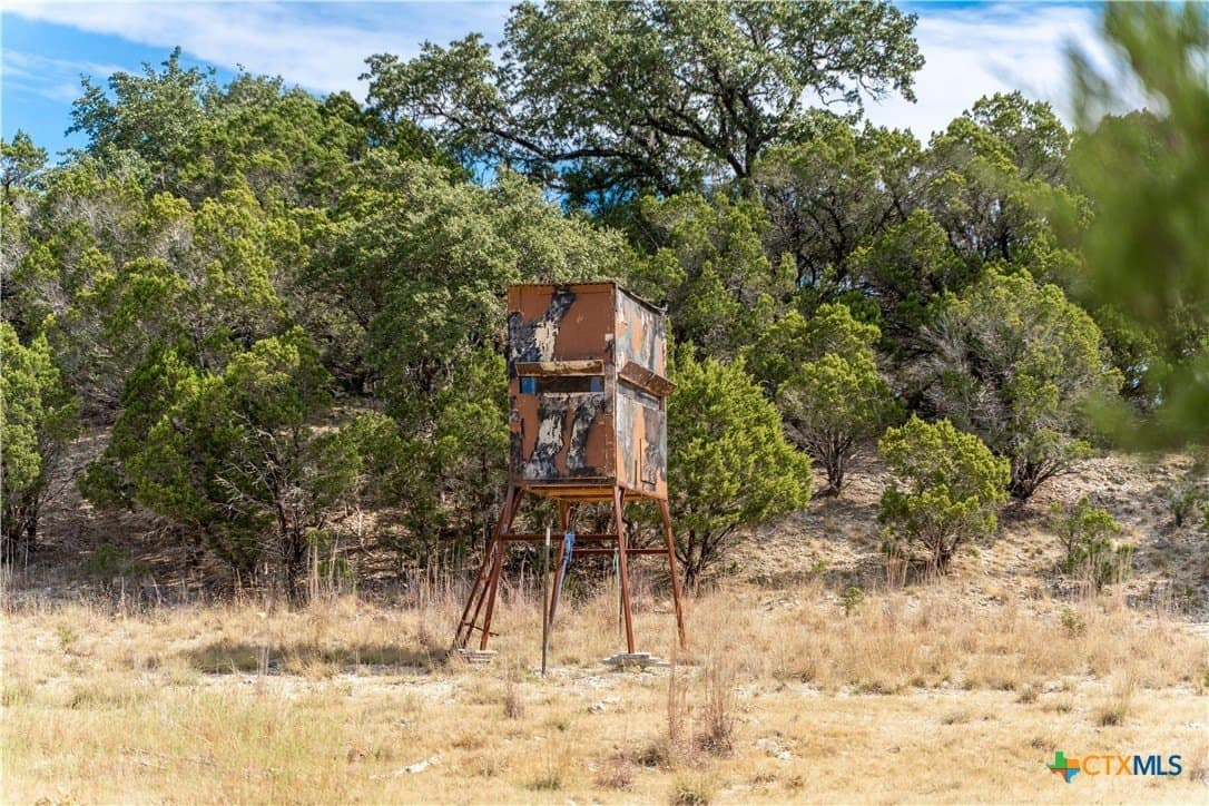 66.99 acres in Bell County - photo 12