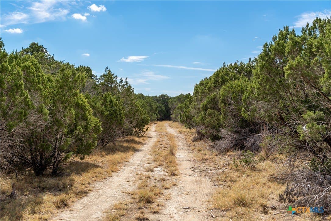 66.99 acres in Bell County - photo 8