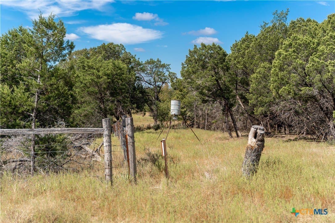 66.99 acres in Bell County - photo 11