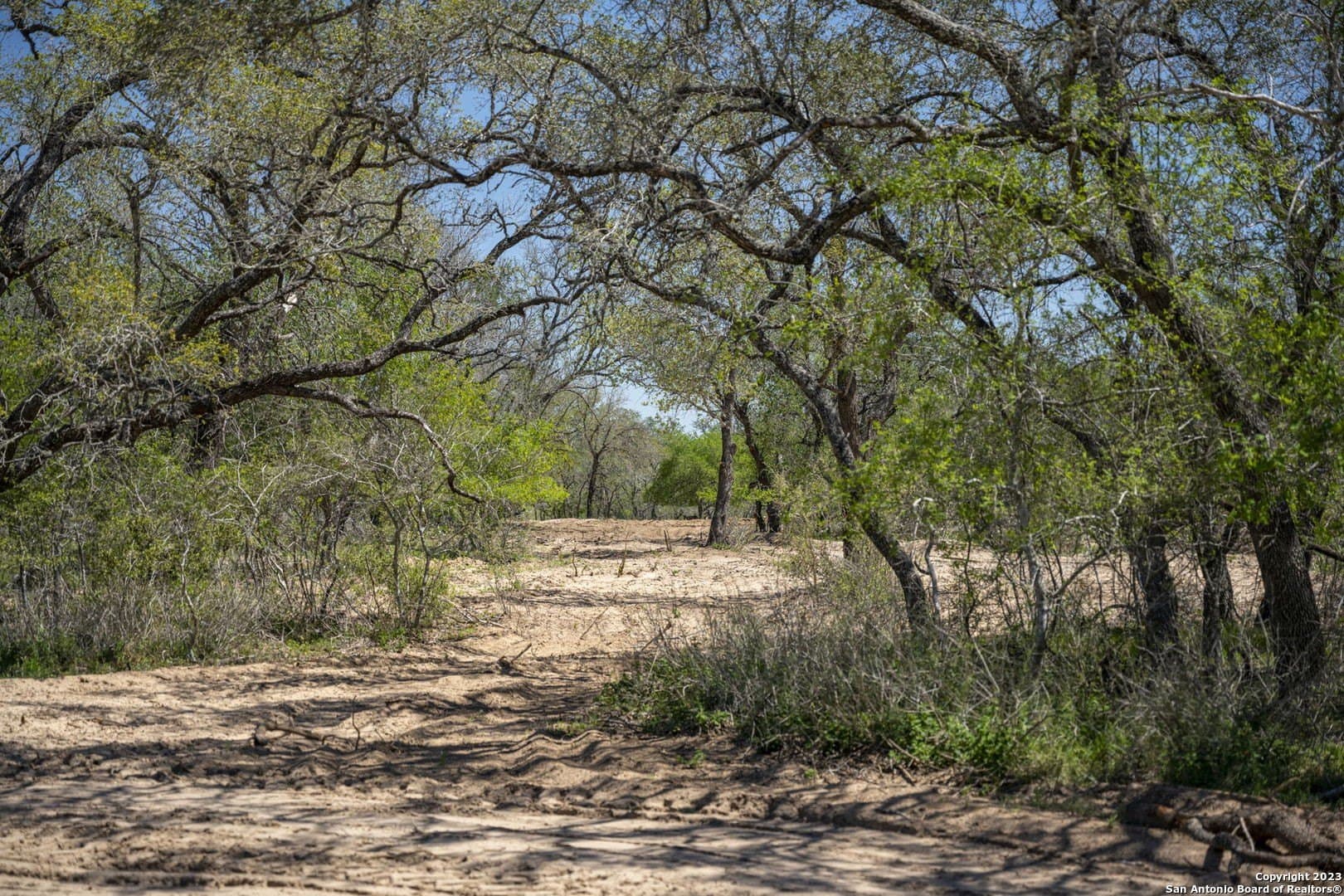 11.01 acres in Medina County gallery image 2