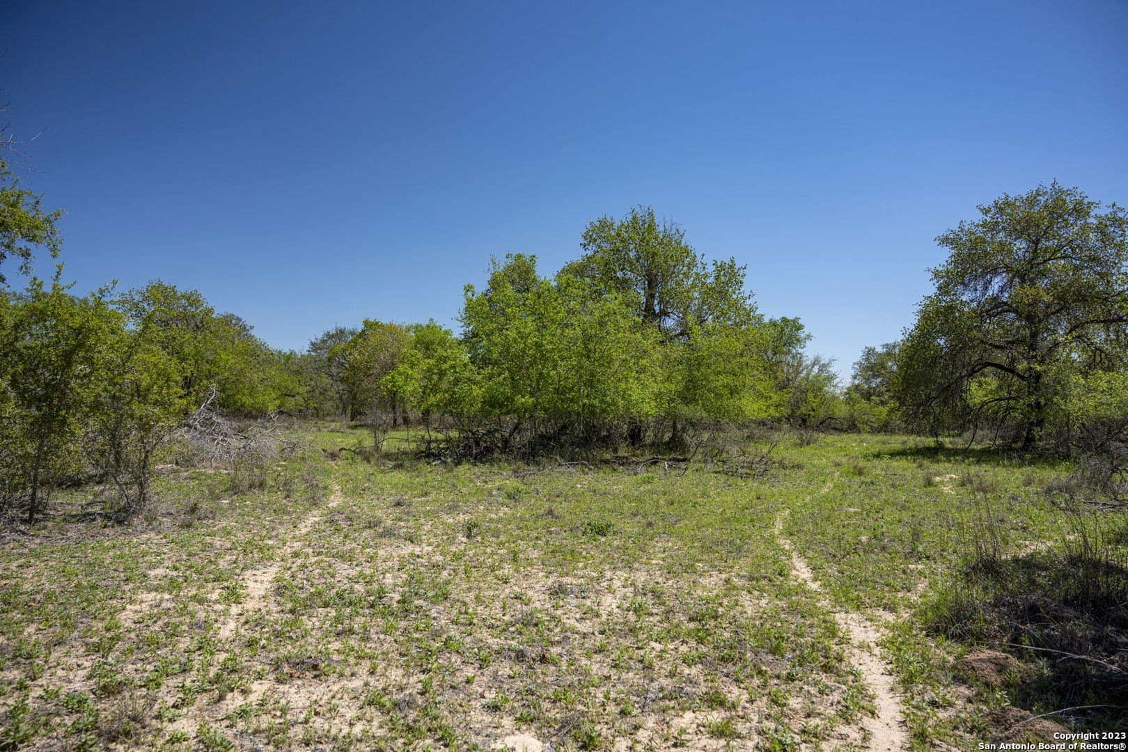 11.01 acres in Medina County - photo 17