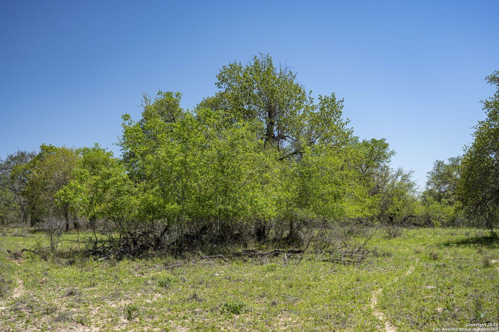 11.01 acres in Medina County - photo 18