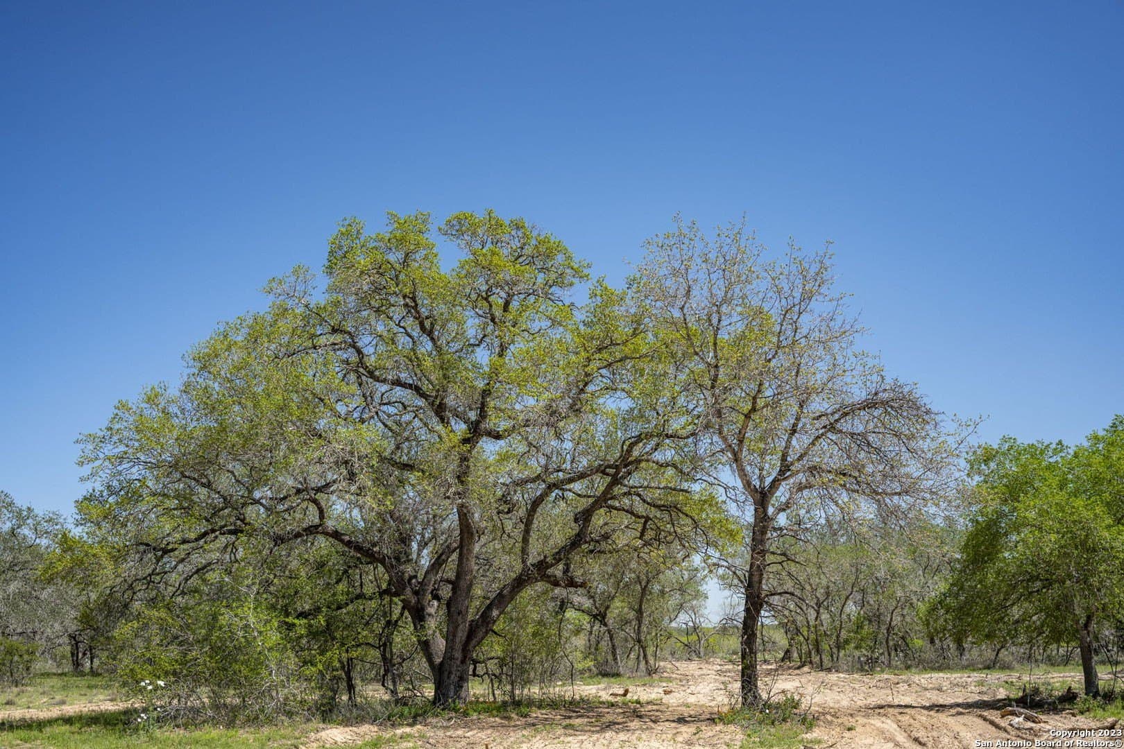 11.01 acres in Medina County gallery image 3
