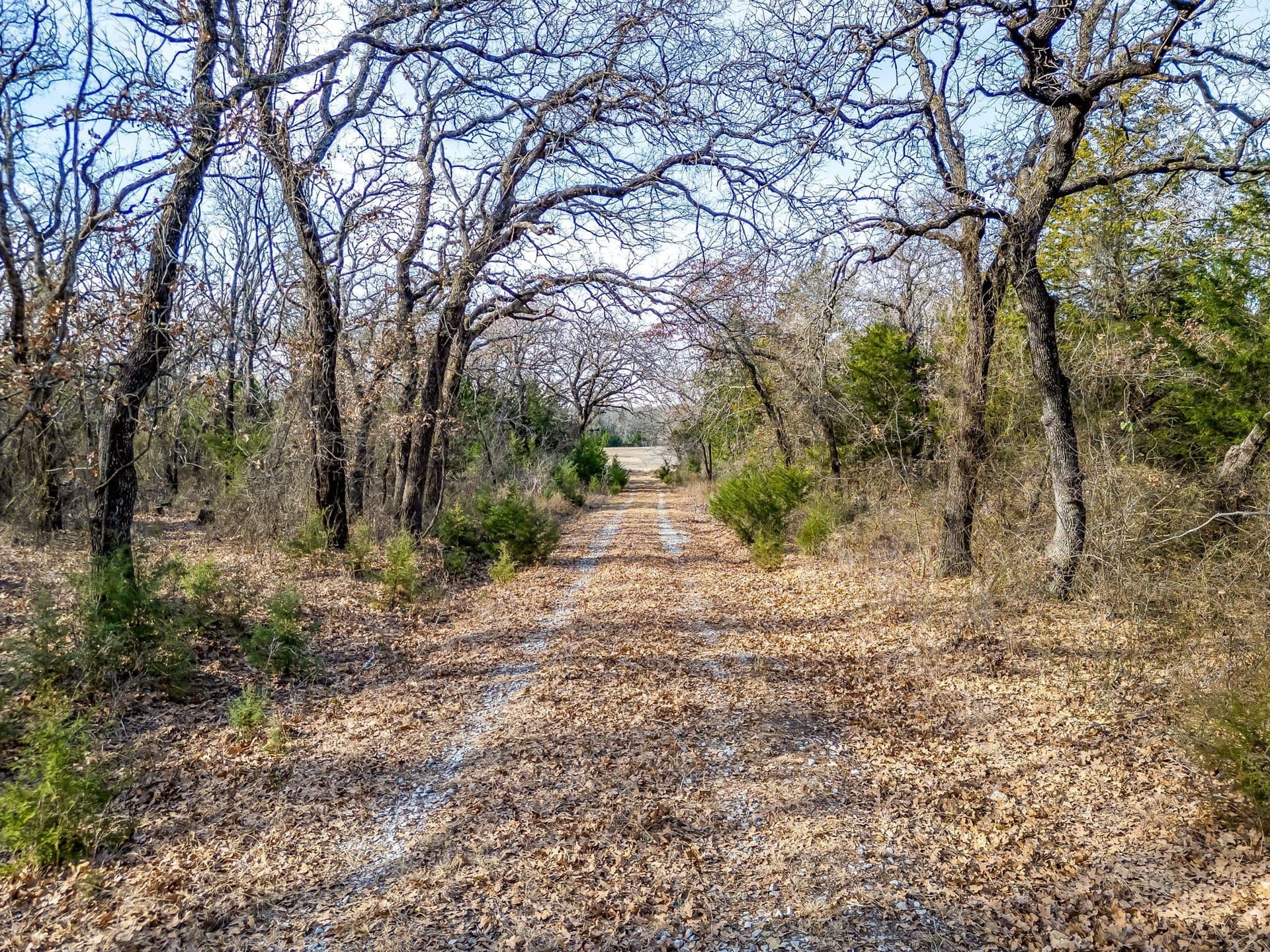 160 acres in Wise County - photo 18