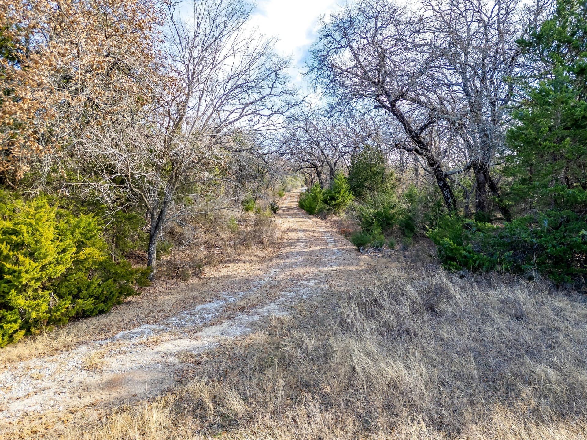 160 acres in Wise County - photo 17