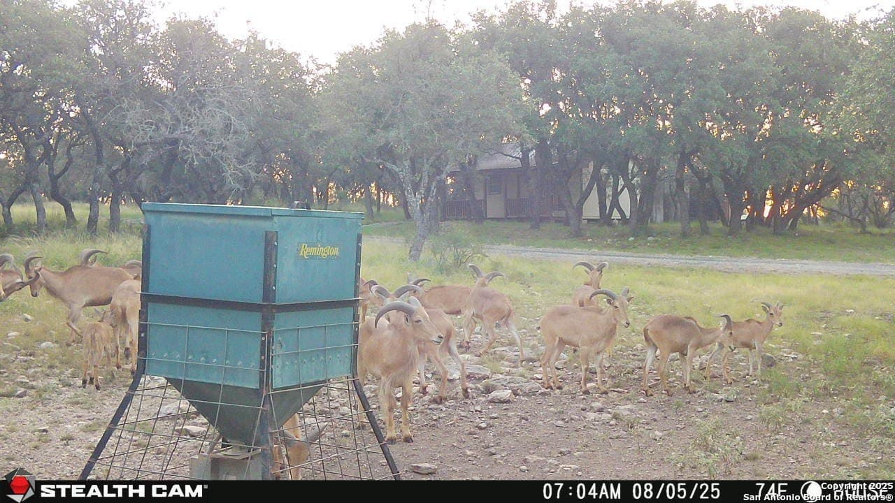 121.2 acres in Kerr County - photo 27