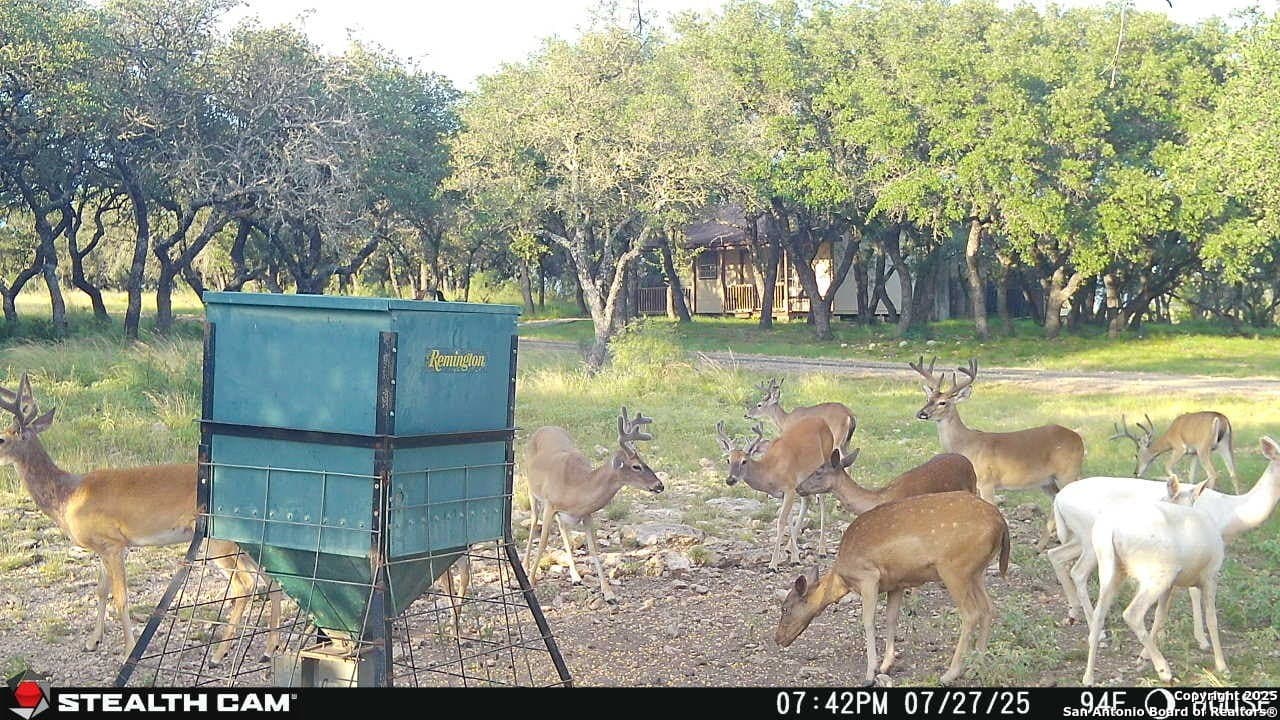 121.2 acres in Kerr County featured view