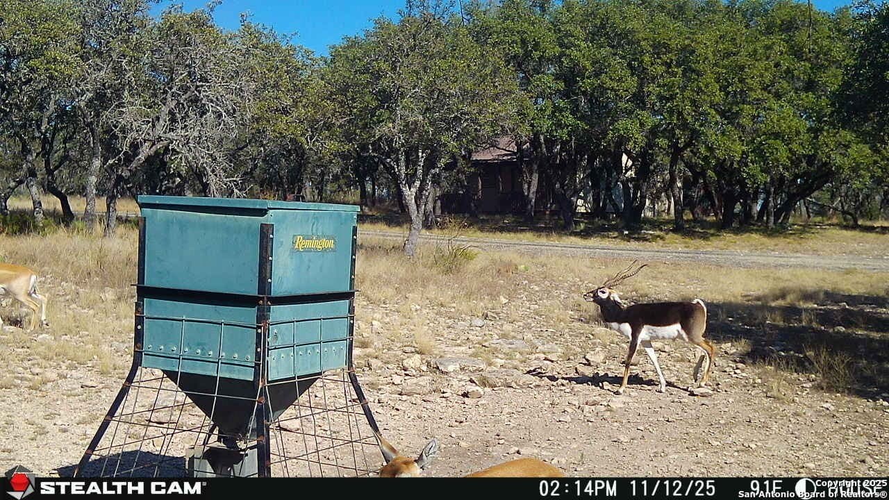 121.2 acres in Kerr County - photo 30