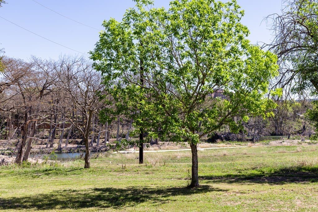 0.24 acres in Kerr County gallery image 3