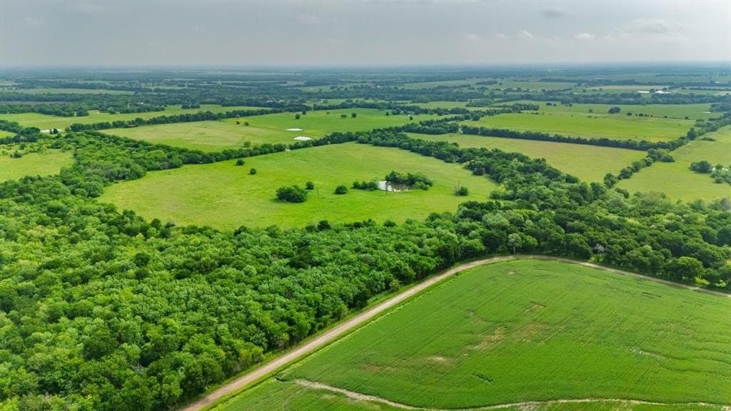 19.03 acres in Hunt County gallery image 4