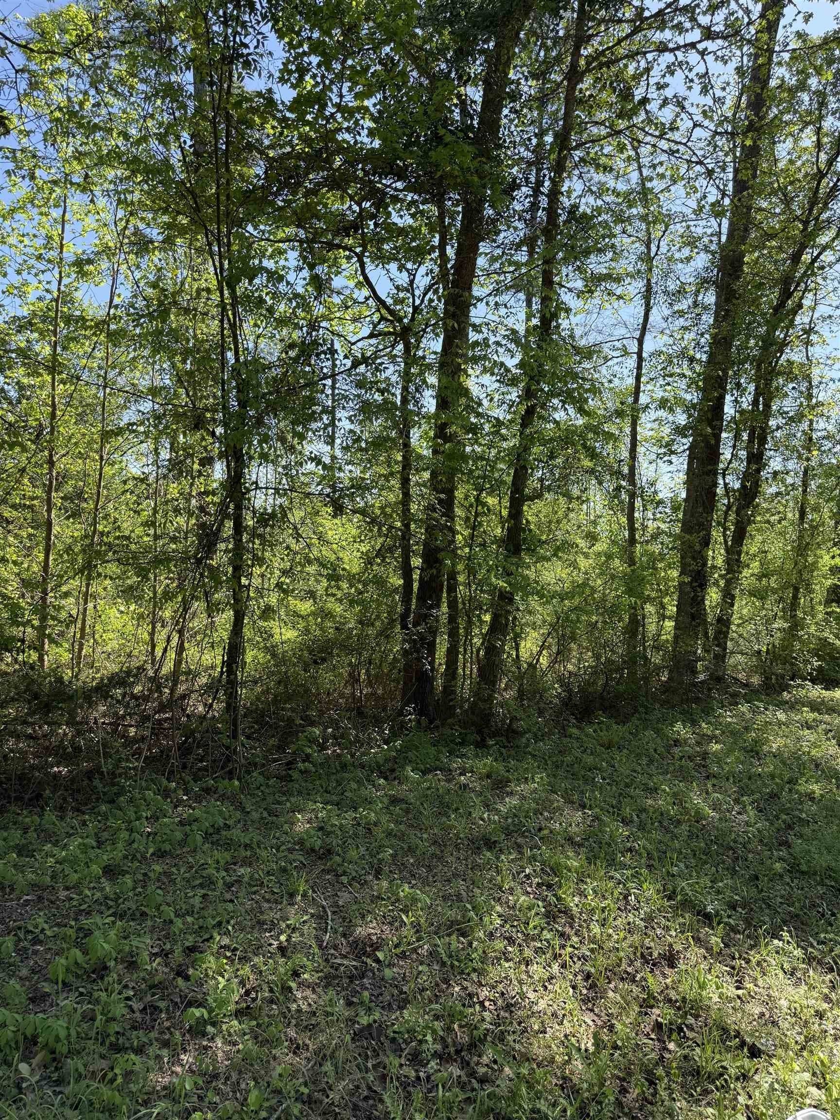 3.8 acres in Rusk County - photo 2