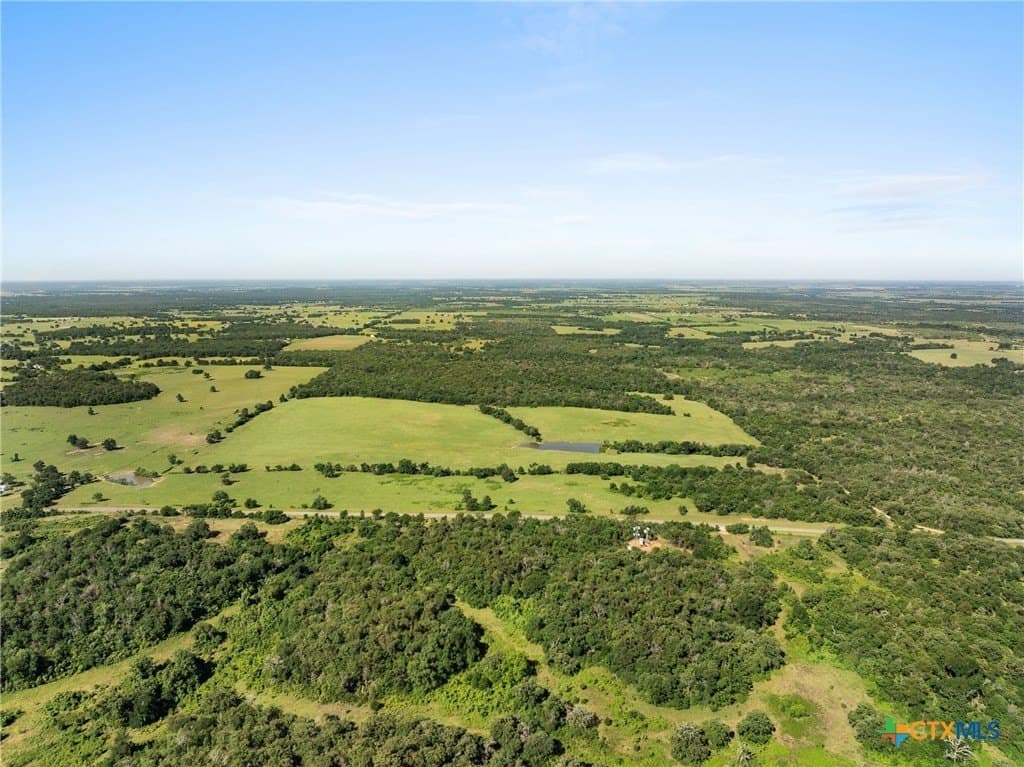 165.71 acres in Milam County gallery image 3