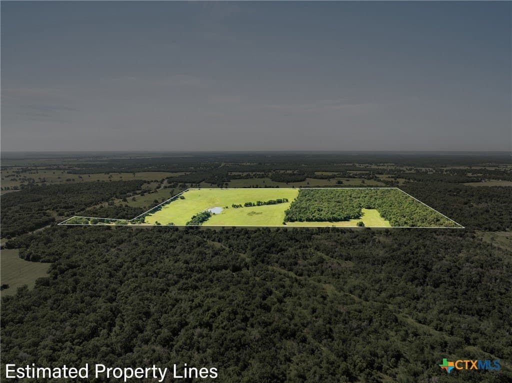 165.71 acres in Milam County gallery image 4