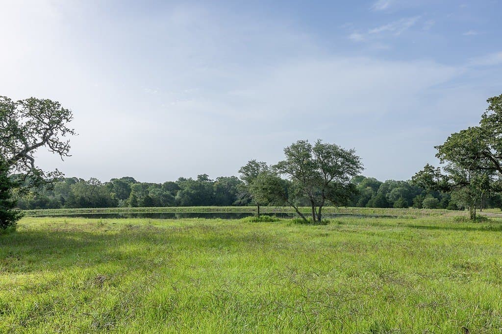 30 acres in Fayette County gallery image 4