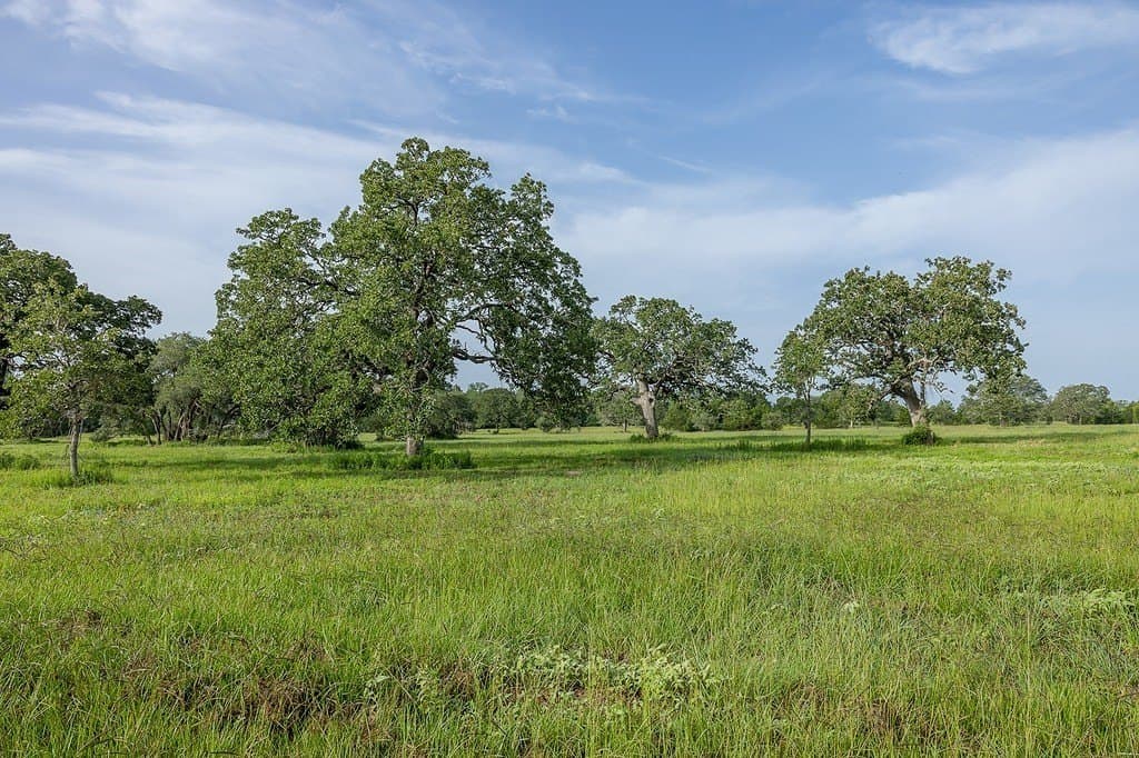 30 acres in Fayette County featured view
