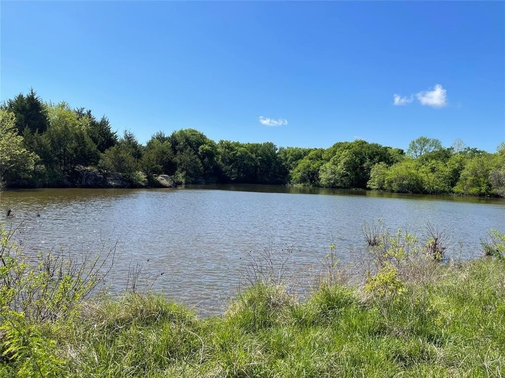 29.18 acres in Fannin County gallery image 2