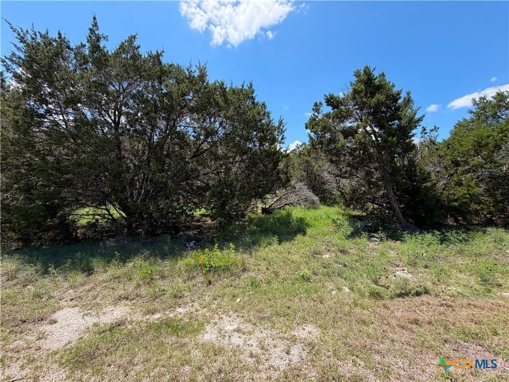 0.23 acres in Comal County gallery image 4