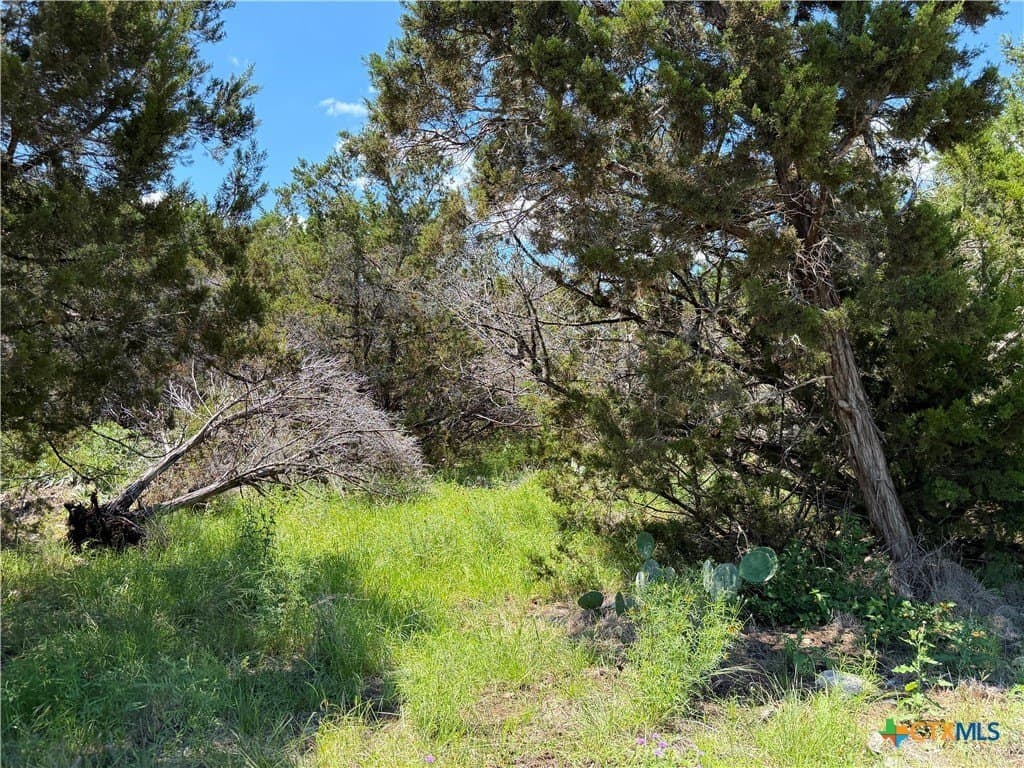 0.23 acres in Comal County - photo 6