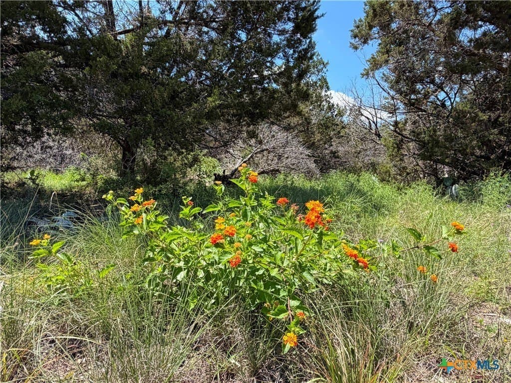 0.23 acres in Comal County - photo 9