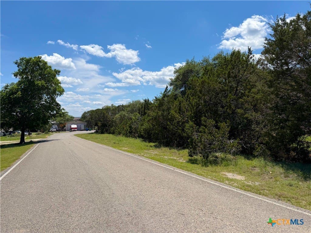 0.23 acres in Comal County gallery image 3
