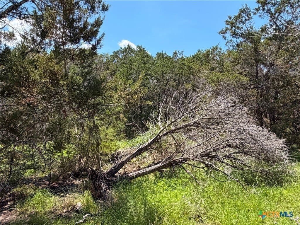 0.23 acres in Comal County - photo 12