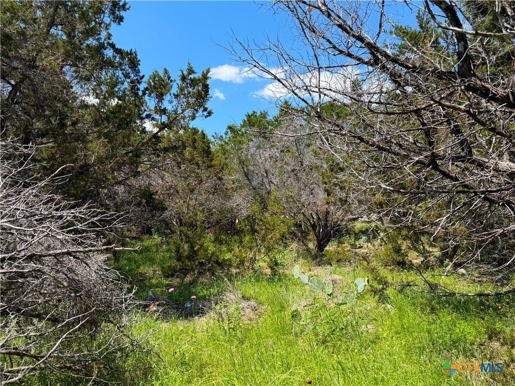 0.23 acres in Comal County - photo 13