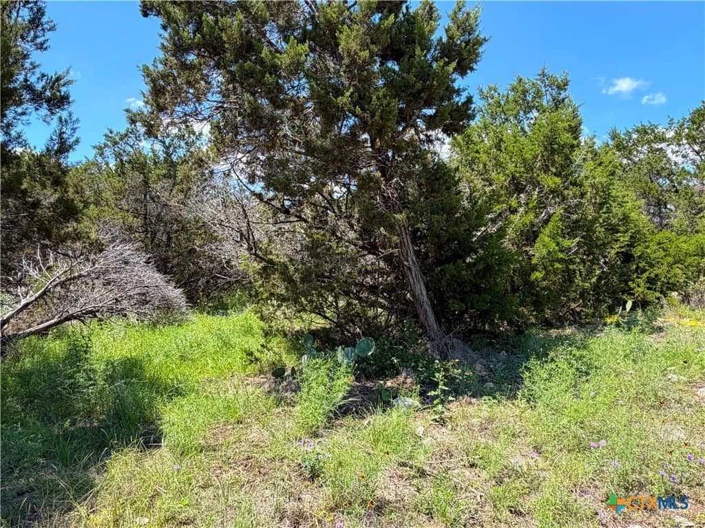 0.23 acres in Comal County - photo 7
