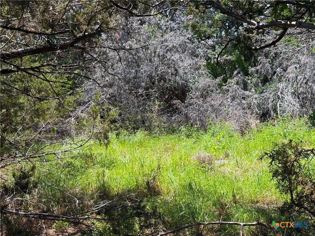 0.23 acres in Comal County - photo 10