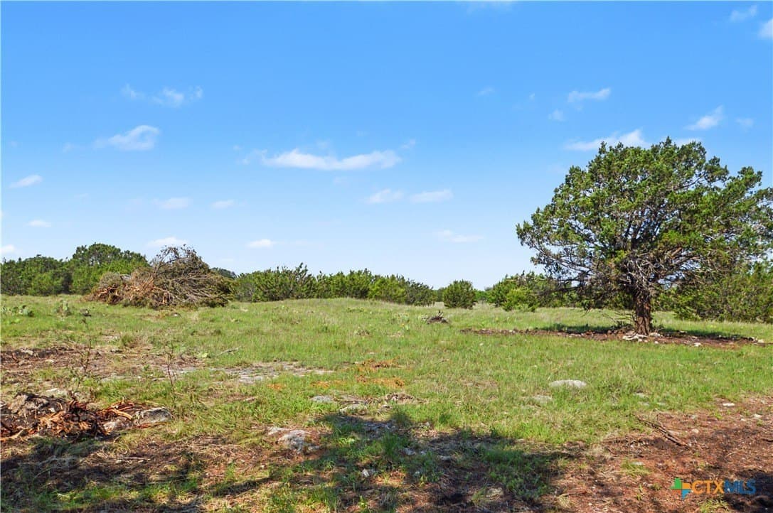 256 acres in Mills County - photo 9