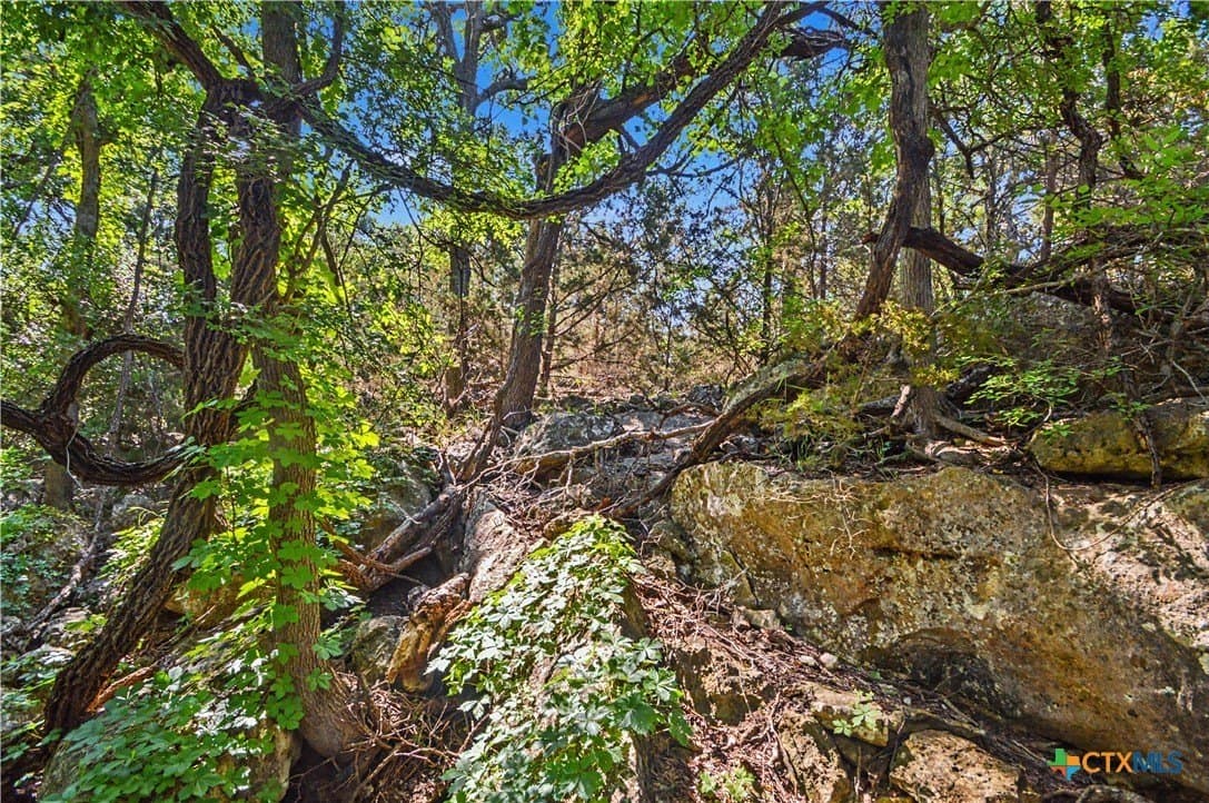 256 acres in Mills County - photo 19