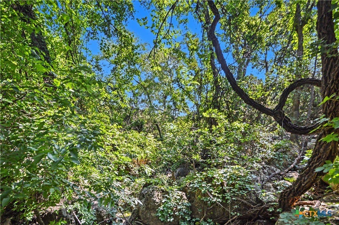 256 acres in Mills County - photo 13