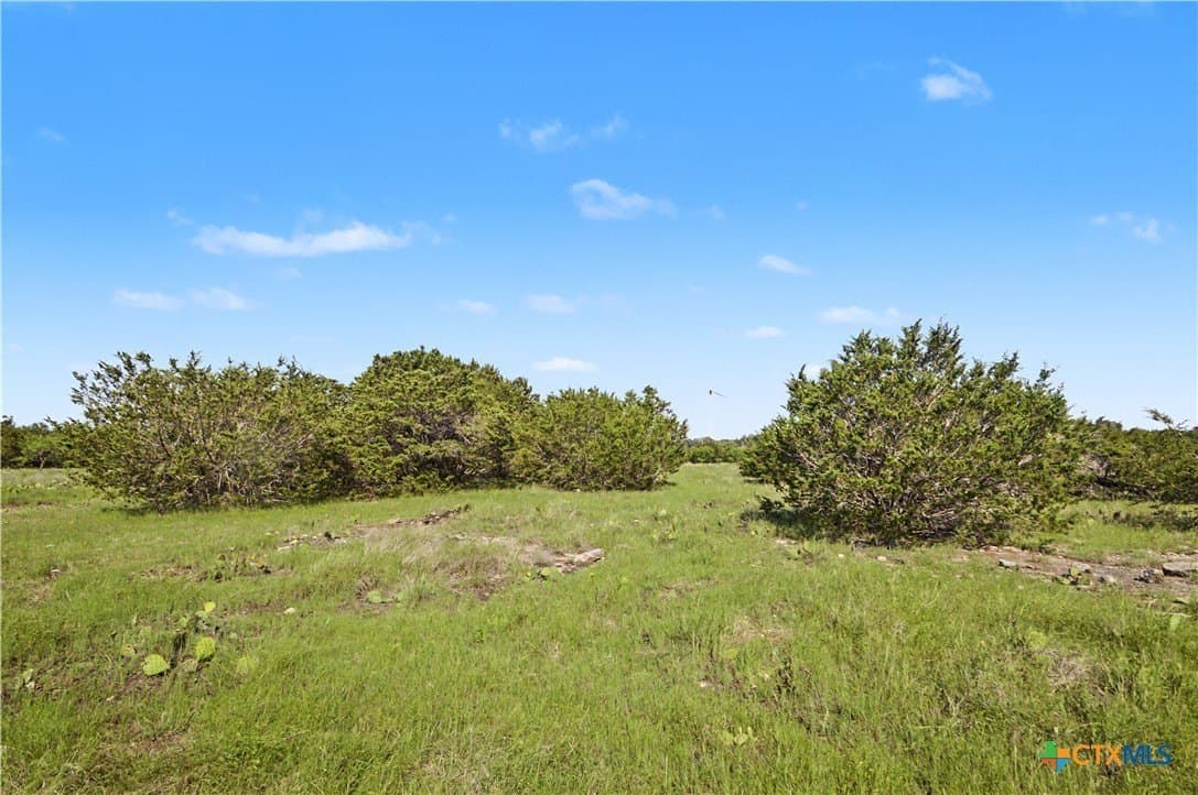 256 acres in Mills County - photo 31