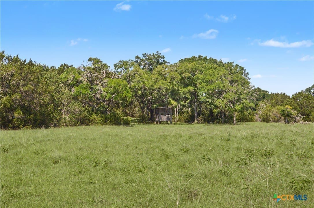 256 acres in Mills County - photo 38