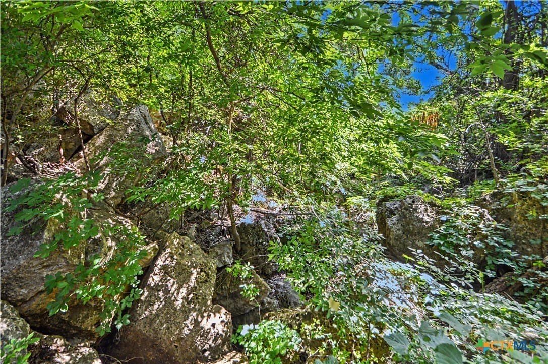 256 acres in Mills County - photo 15