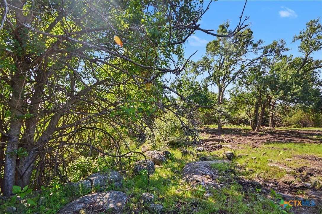 256 acres in Mills County - photo 10