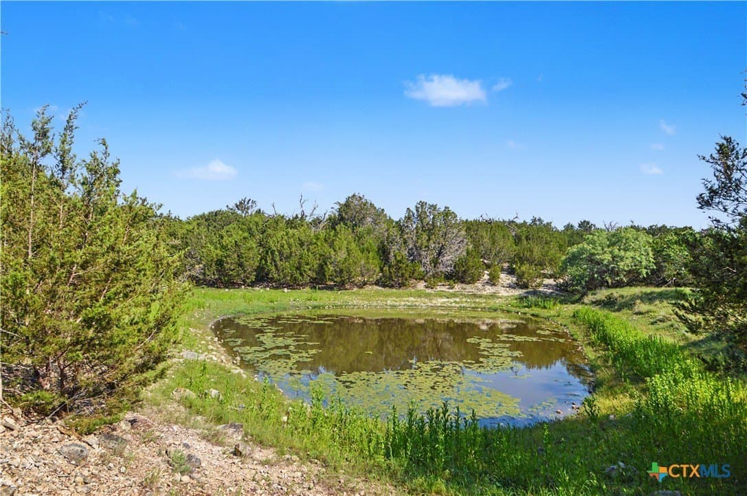 256 acres in Mills County gallery image 3