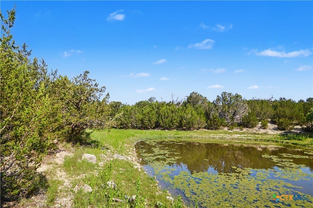 256 acres in Mills County - photo 6