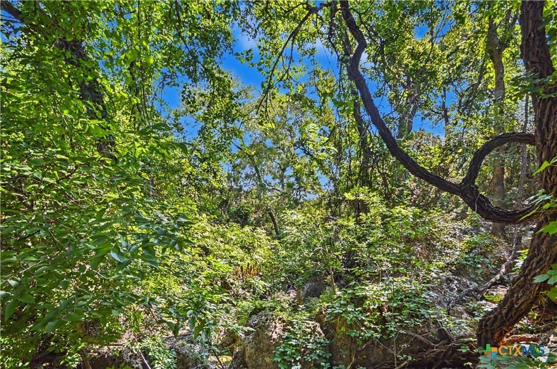 256 acres in Mills County - photo 18