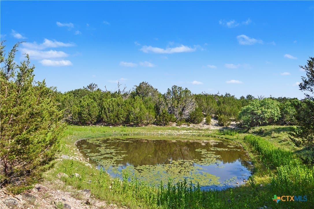 256 acres in Mills County gallery image 4