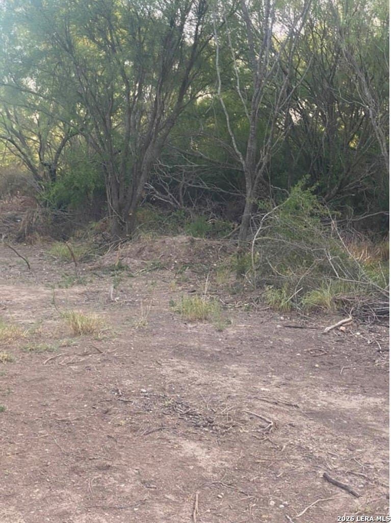 0.45 acres in Maverick County gallery image 3