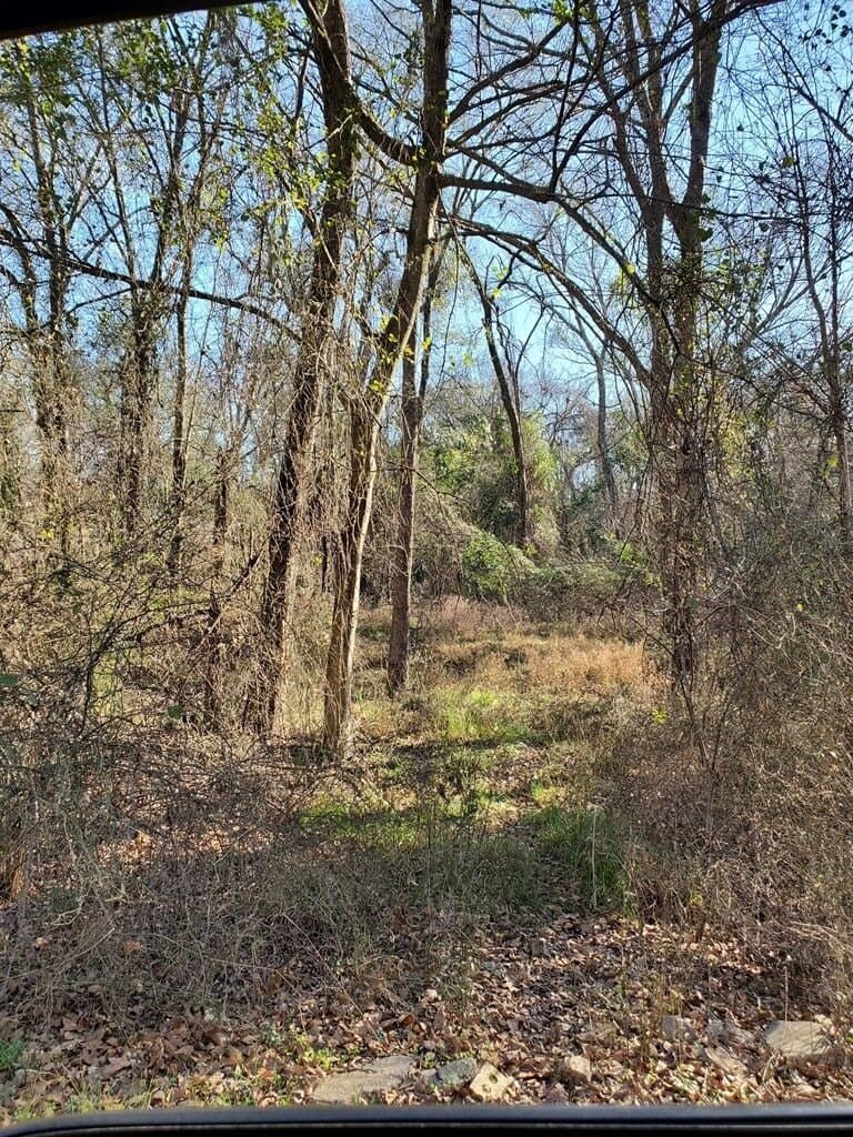 3 acres in Henderson County - photo 2