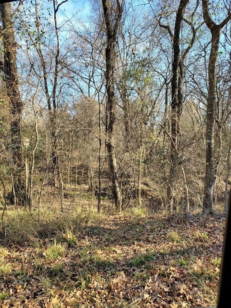 3 acres in Henderson County - photo 3