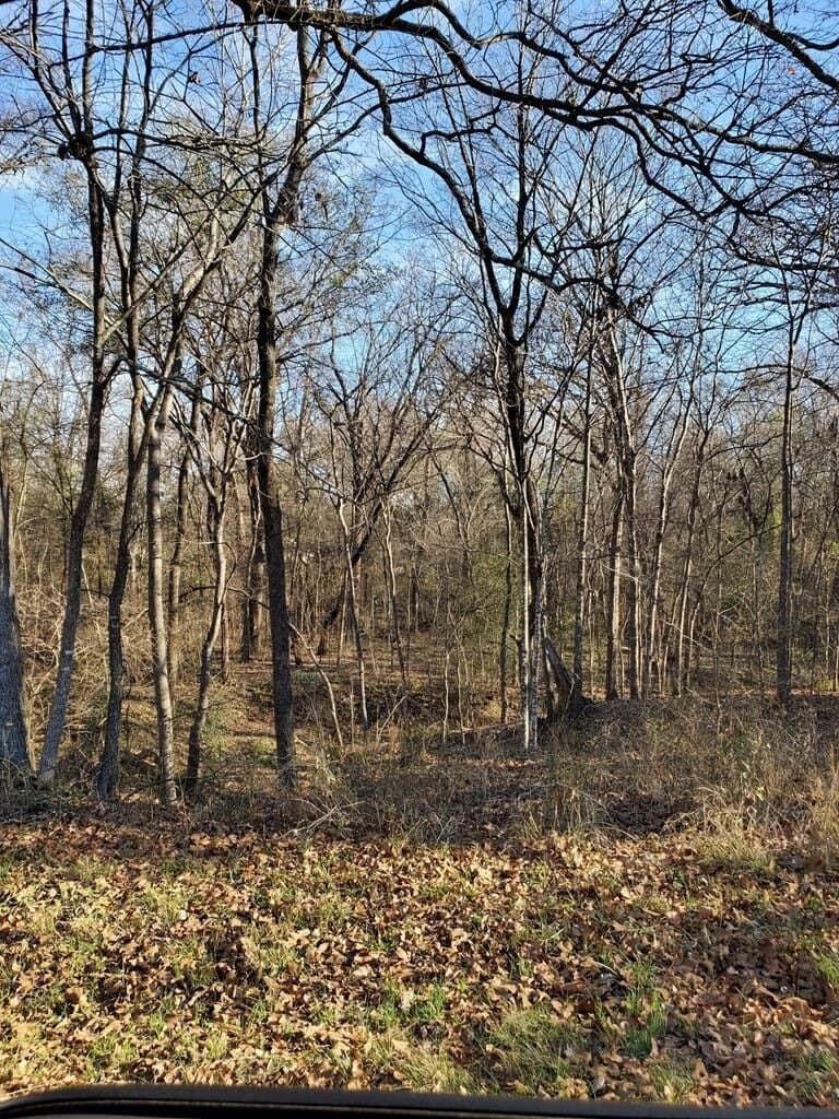 3 acres in Henderson County