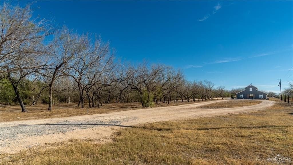 27.62 acres in Hidalgo County gallery image 4