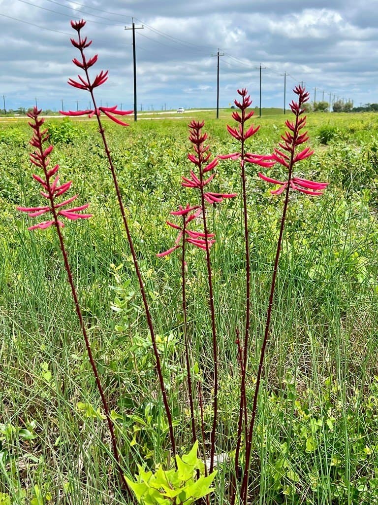3.39 acres in Texas County - photo 11