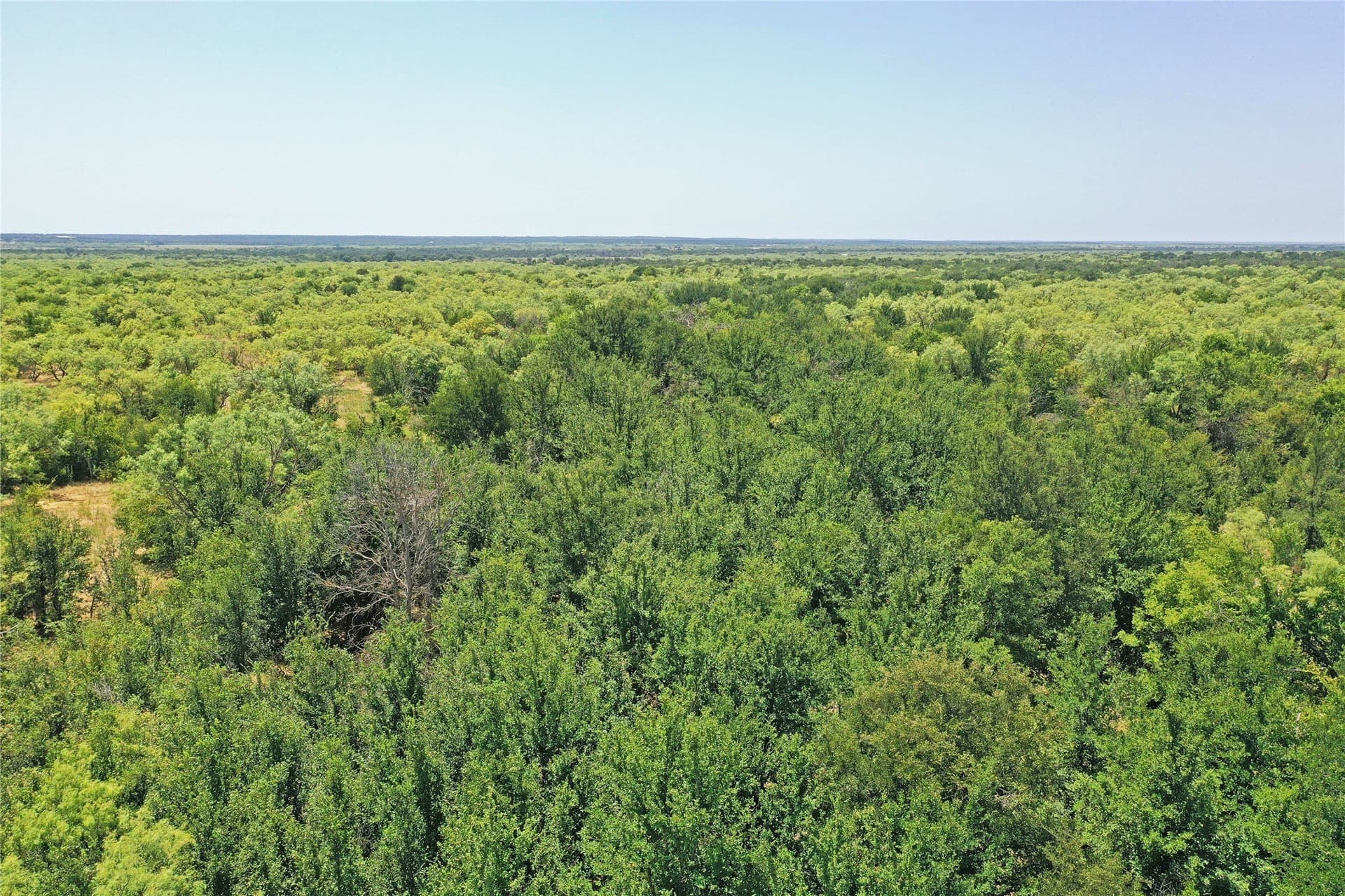 480 acres in Jack County - photo 16