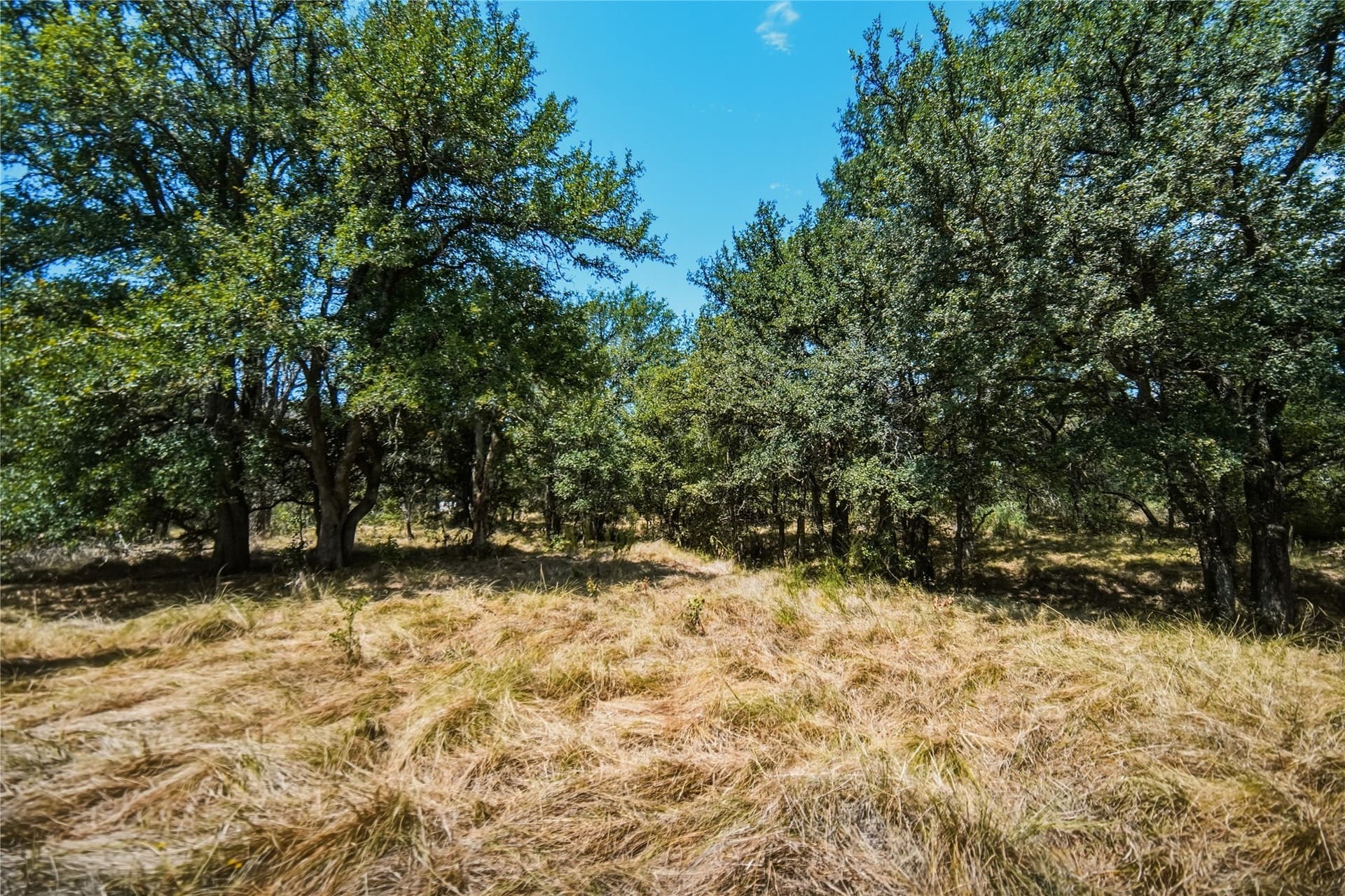 480 acres in Jack County - photo 32