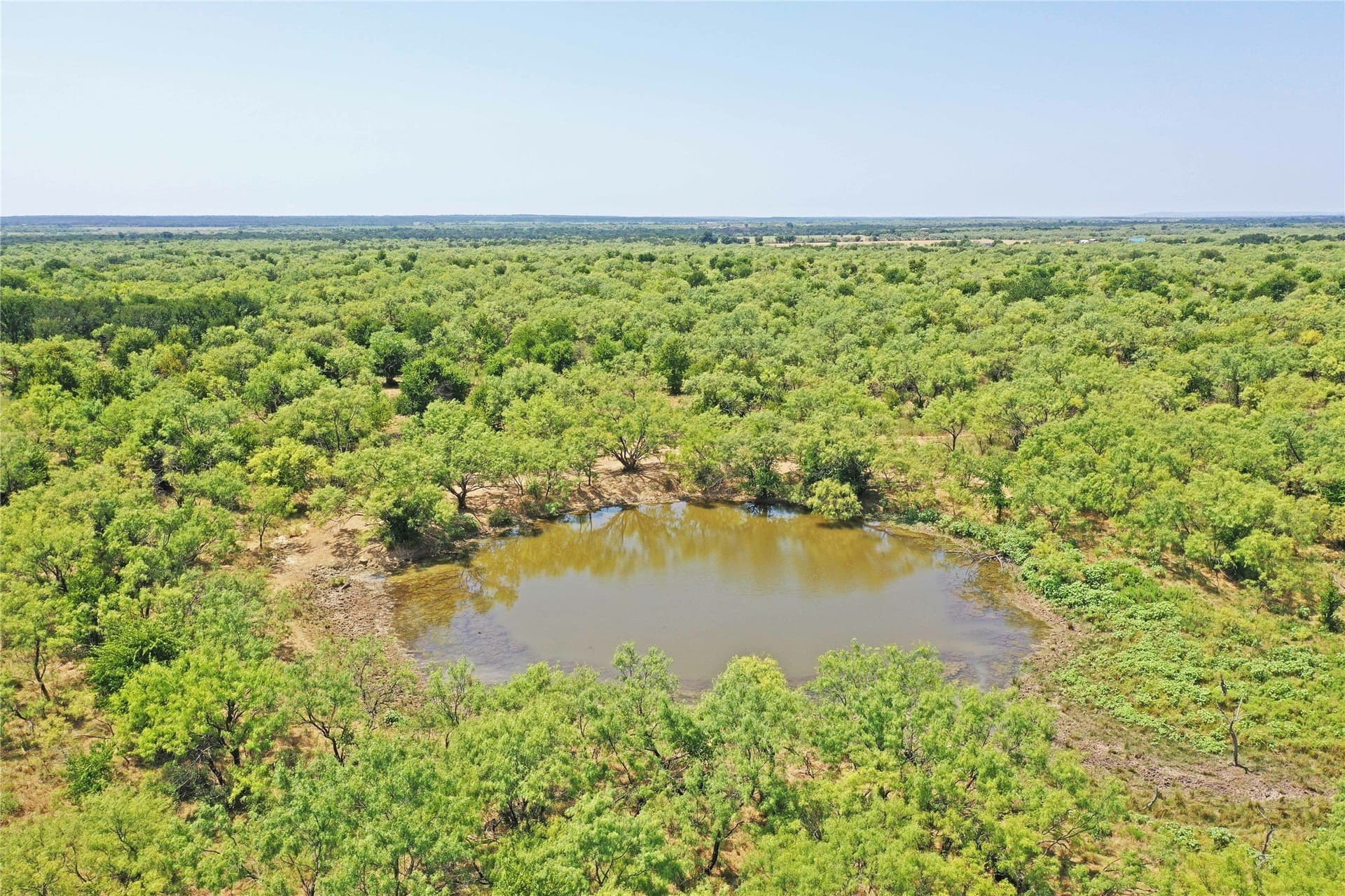 480 acres in Jack County gallery image 4