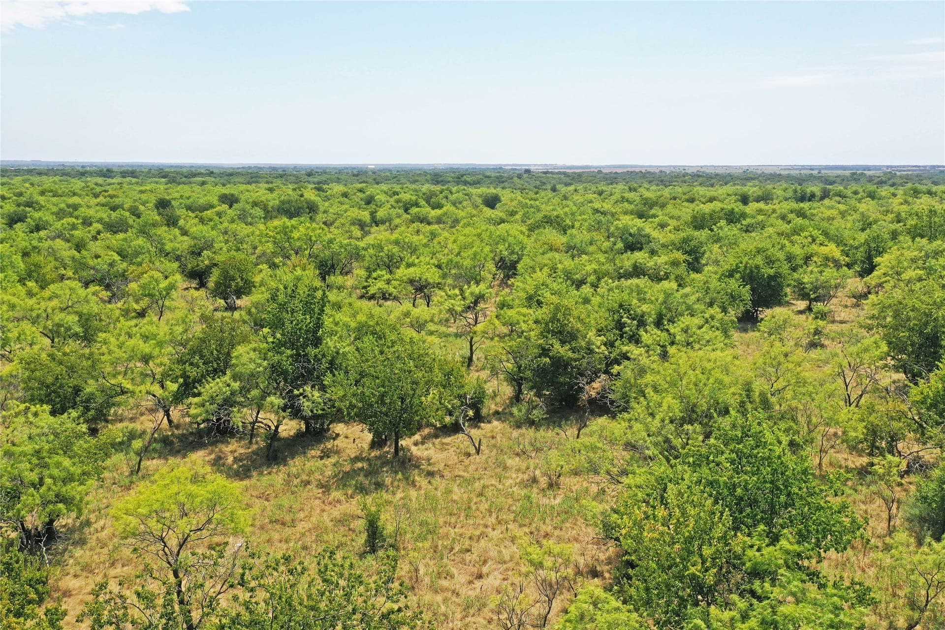 480 acres in Jack County - photo 6