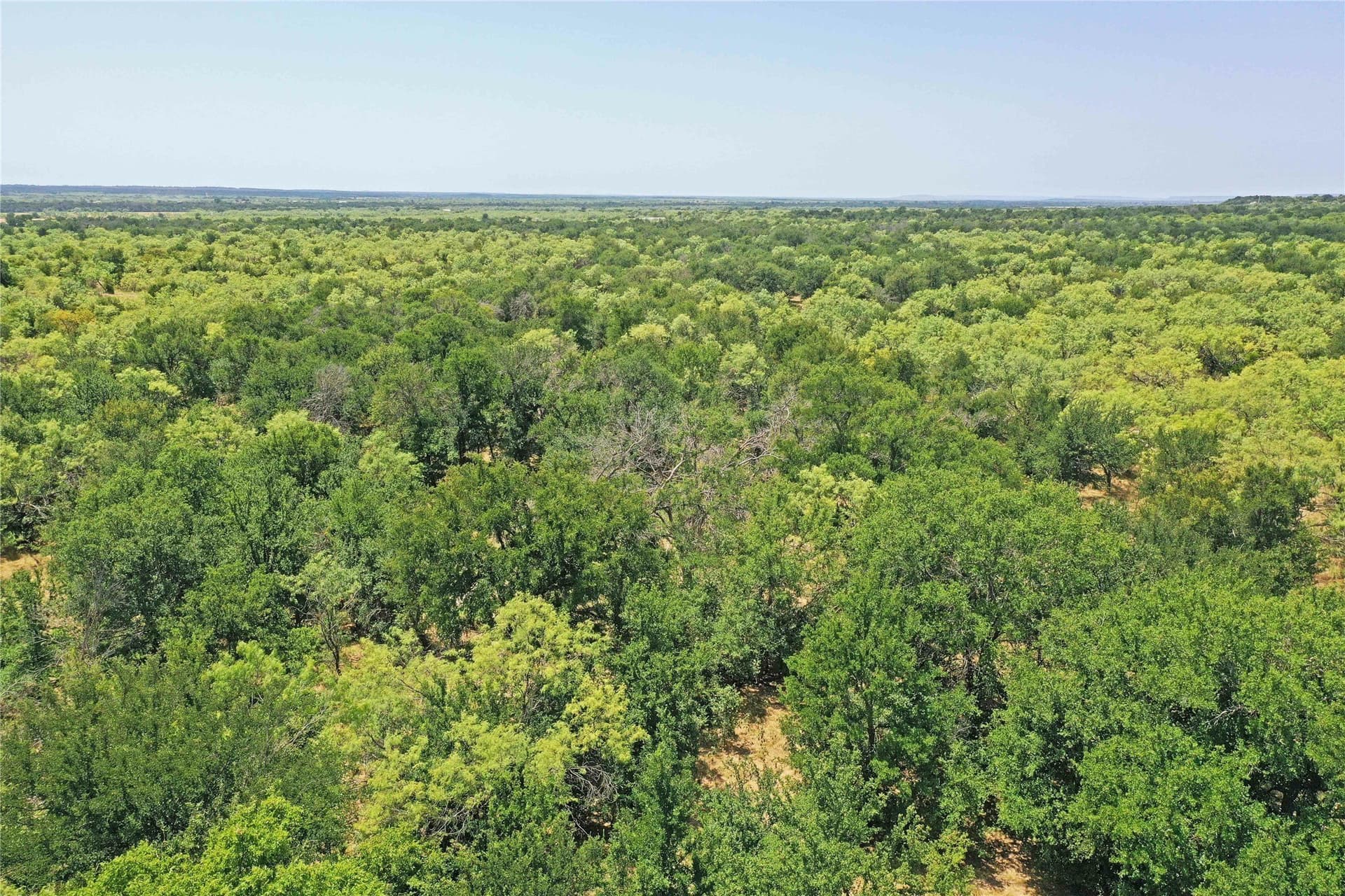 480 acres in Jack County - photo 17